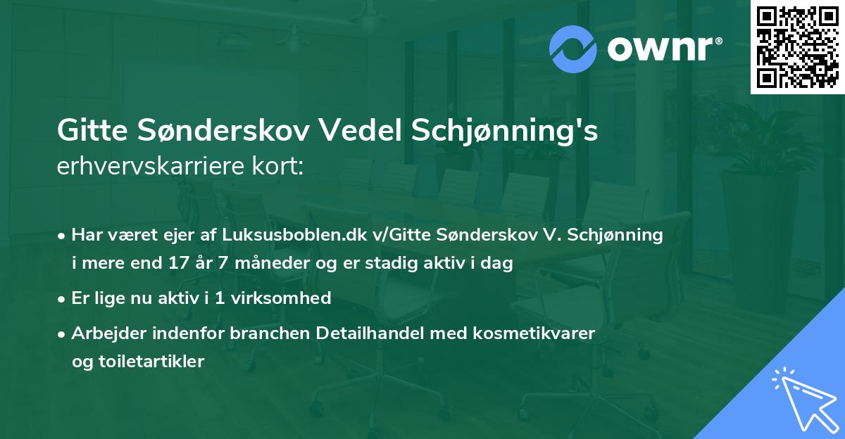 Gitte Sønderskov Vedel Schjønning's erhvervskarriere kort