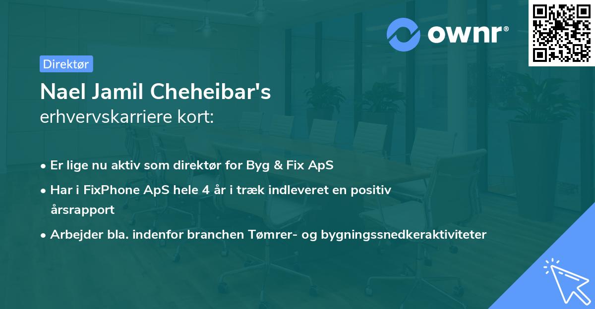Nael Jamil Cheheibar's erhvervskarriere kort