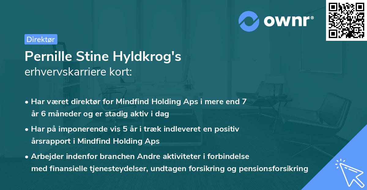 Pernille Stine Hyldkrog's erhvervskarriere kort