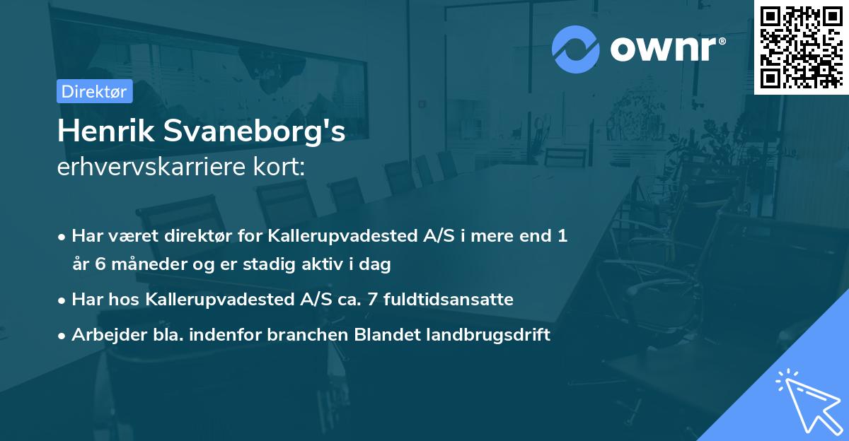 Henrik Svaneborg's erhvervskarriere kort