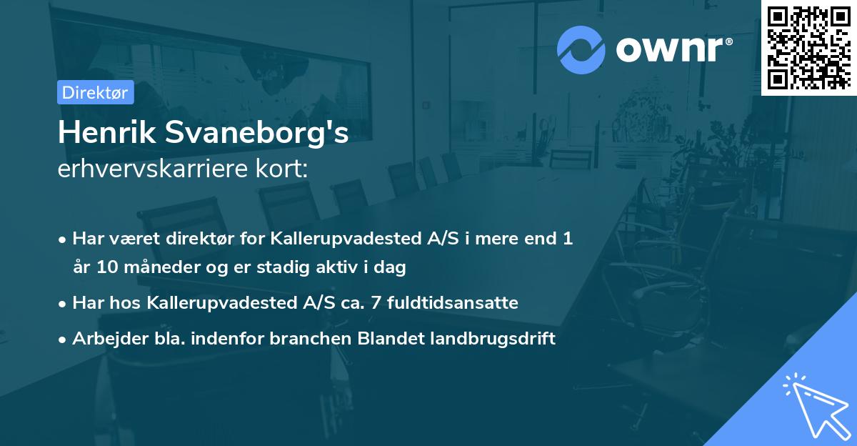 Henrik Svaneborg's erhvervskarriere kort