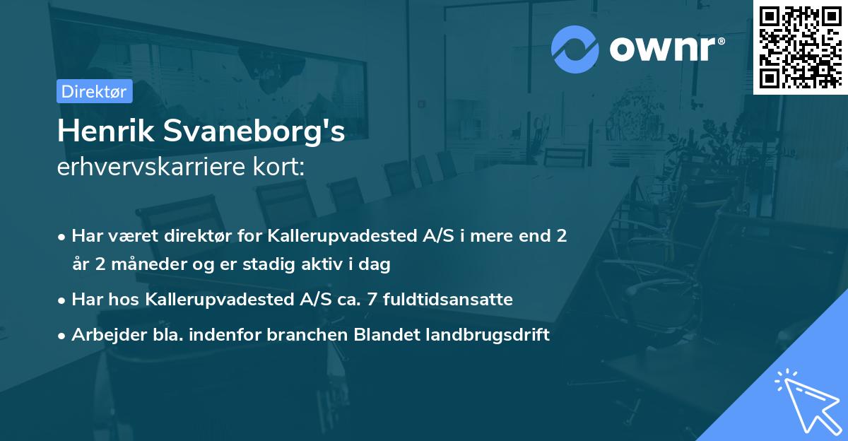 Henrik Svaneborg's erhvervskarriere kort