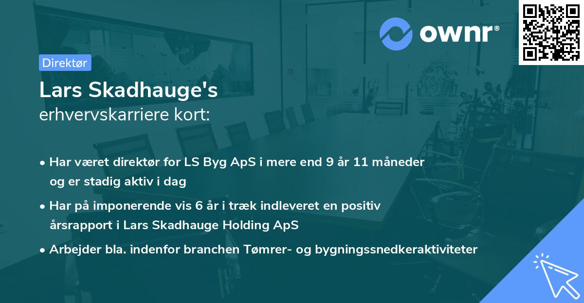 Lars Skadhauge's erhvervskarriere kort