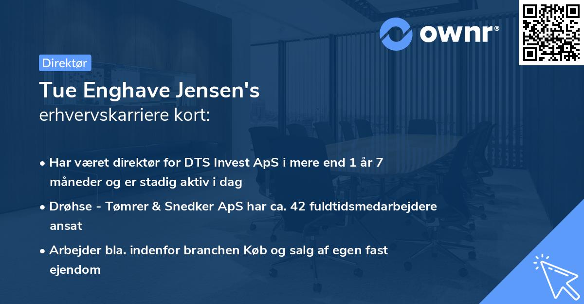 Tue Enghave Jensen's erhvervskarriere kort