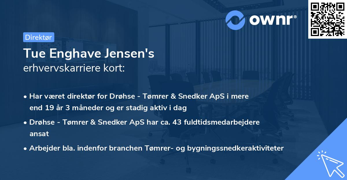 Tue Enghave Jensen's erhvervskarriere kort