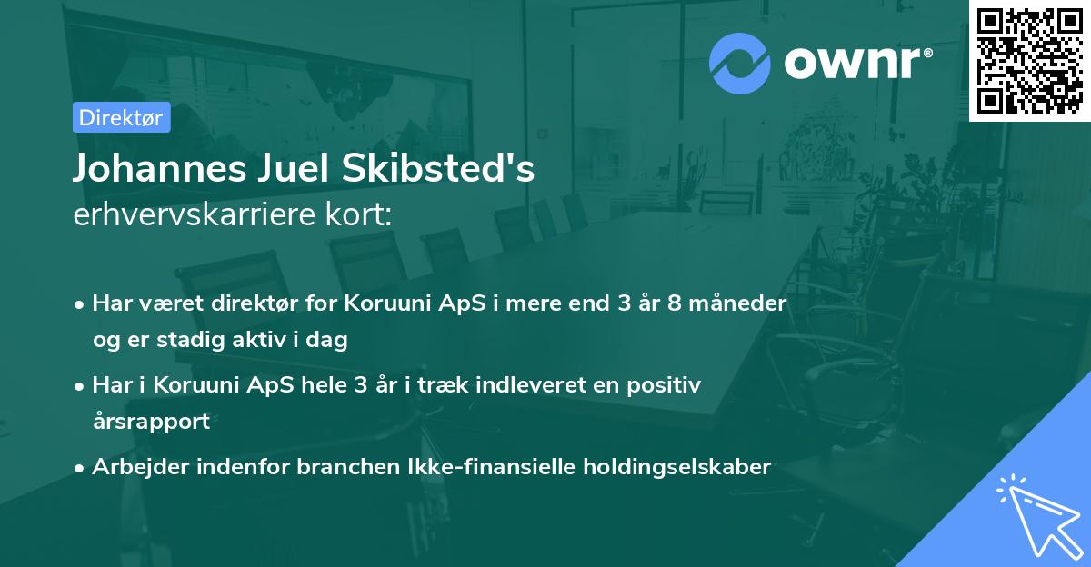 Johannes Juel Skibsted's erhvervskarriere kort