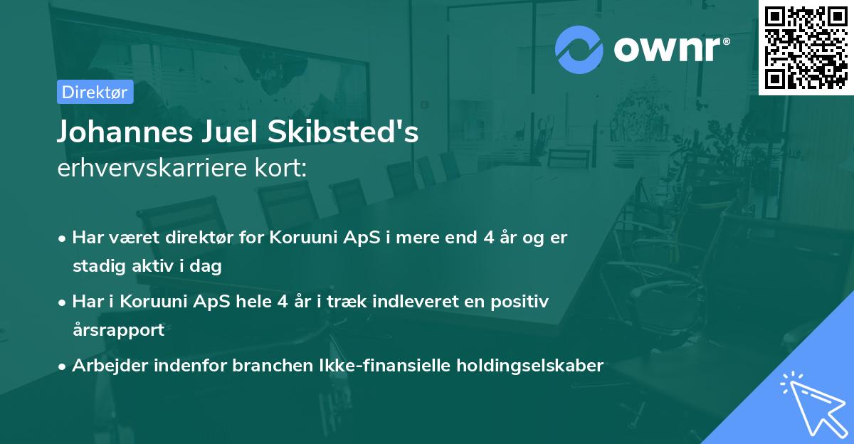 Johannes Juel Skibsted's erhvervskarriere kort