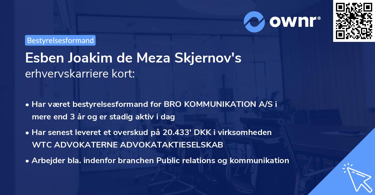 Esben Joakim de Meza Skjernov's erhvervskarriere kort