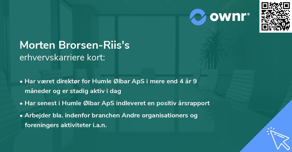 Morten Brorsen-Riis's erhvervskarriere kort