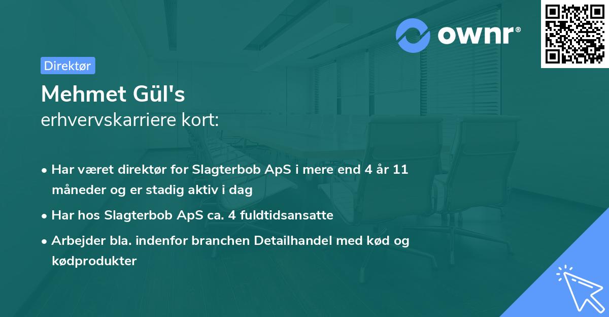 Mehmet Gül's erhvervskarriere kort