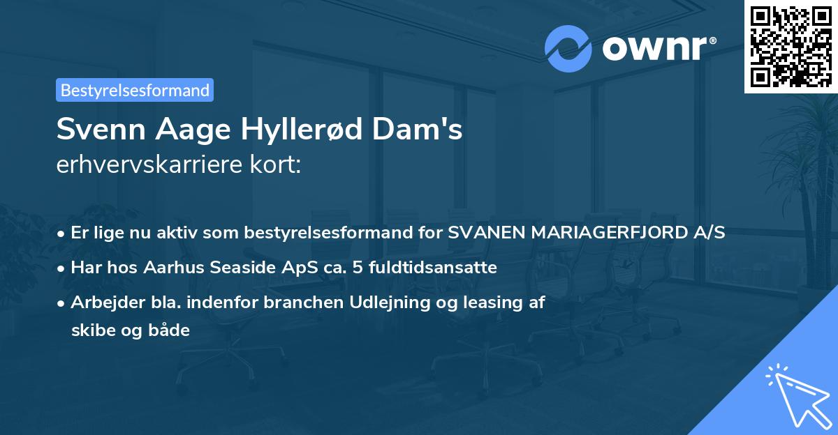 Svenn Aage Hyllerød Dam's erhvervskarriere kort