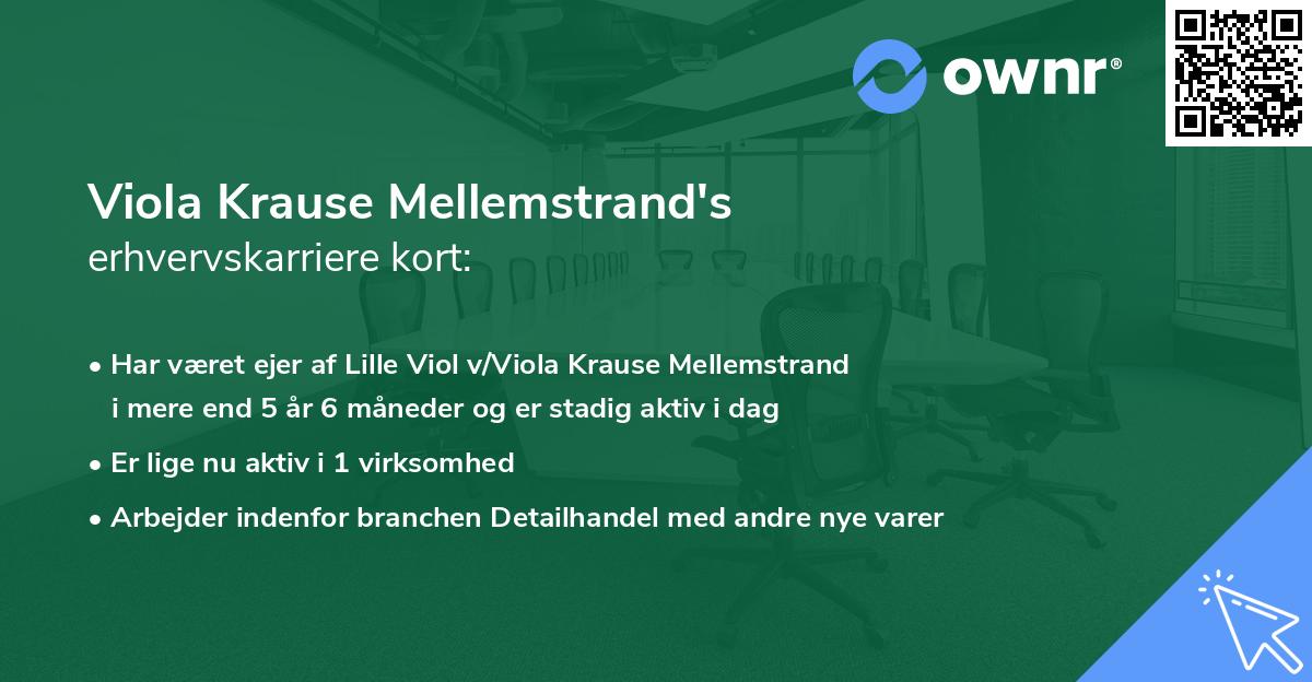 Viola Krause Mellemstrand's erhvervskarriere kort