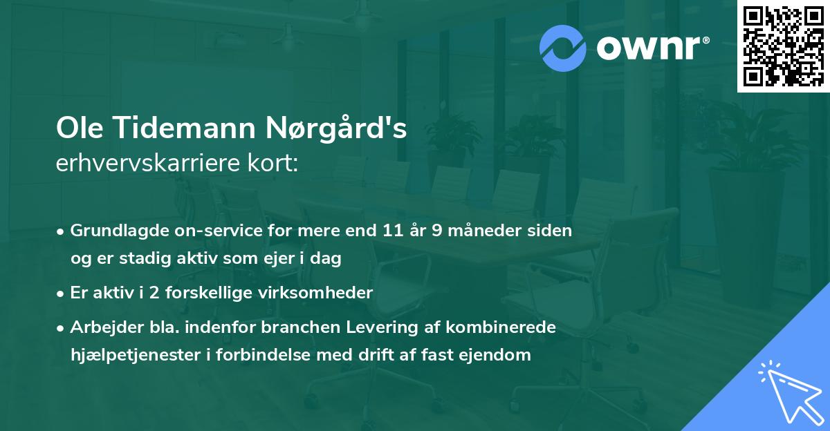 Ole Tidemann Nørgård's erhvervskarriere kort
