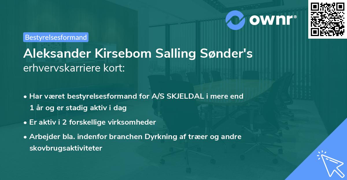 Aleksander Kirsebom Salling Sønder's erhvervskarriere kort