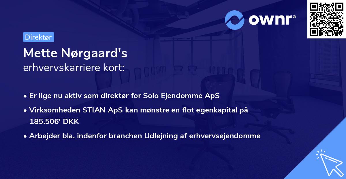 Mette Nørgaard's erhvervskarriere kort