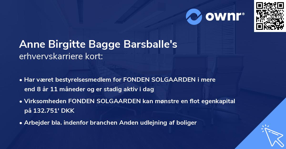 Anne Birgitte Bagge Barsballe's erhvervskarriere kort