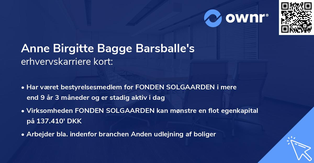 Anne Birgitte Bagge Barsballe's erhvervskarriere kort