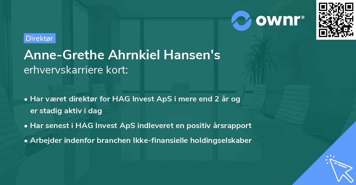 Anne-Grethe Ahrnkiel Hansen's erhvervskarriere kort