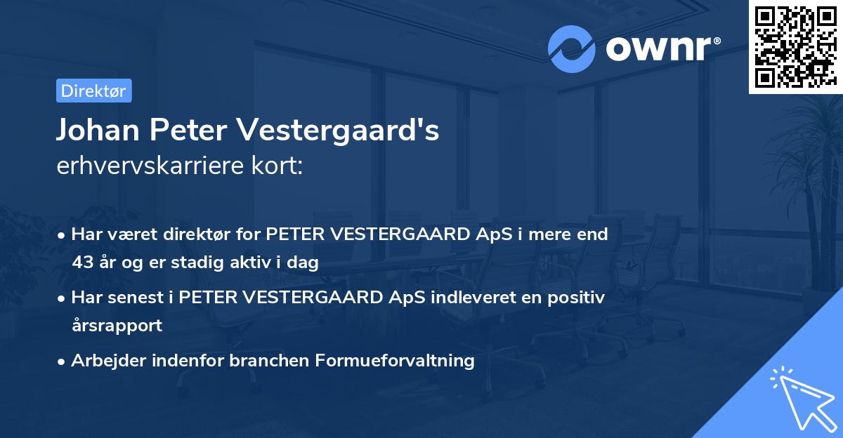 Johan Peter Vestergaard's erhvervskarriere kort