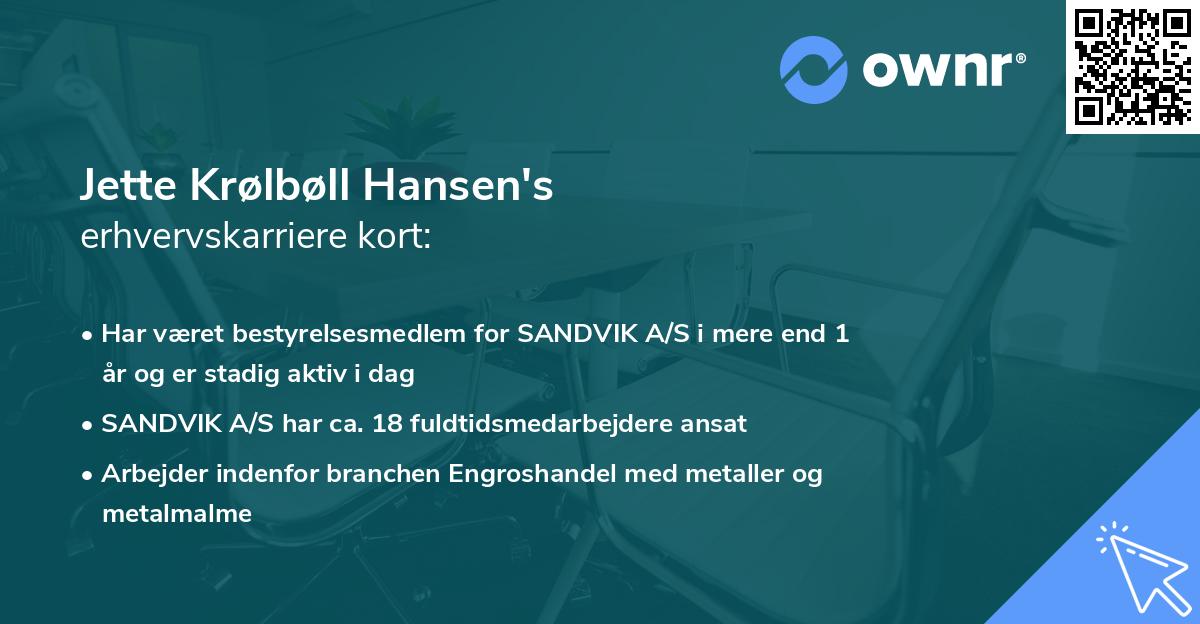 Jette Krølbøll Hansen's erhvervskarriere kort