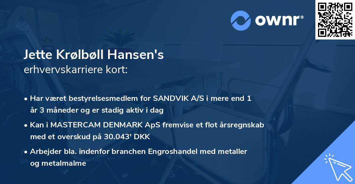 Jette Krølbøll Hansen's erhvervskarriere kort