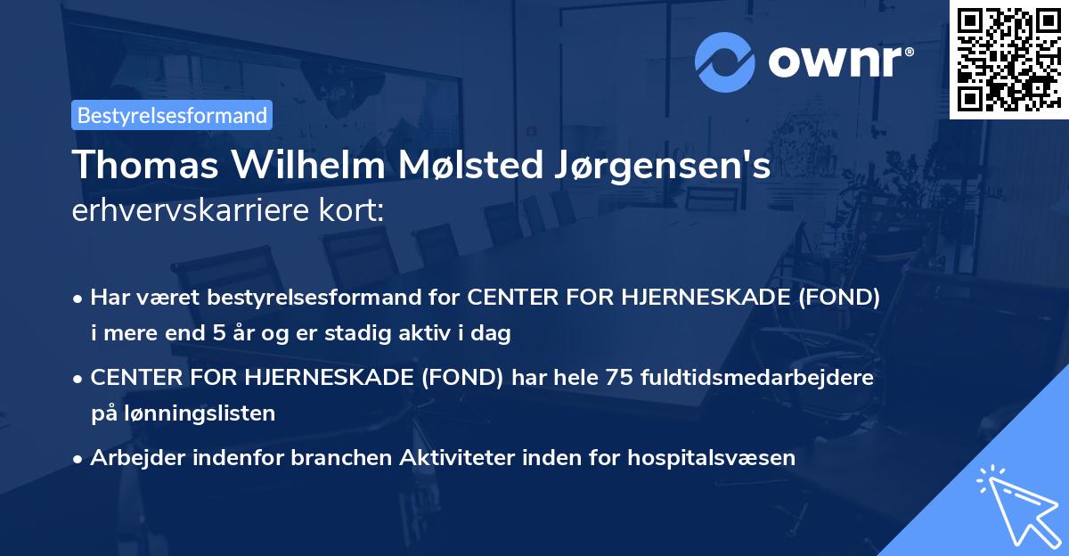 Thomas Wilhelm Mølsted Jørgensen's erhvervskarriere kort