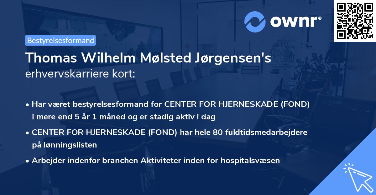 Thomas Wilhelm Mølsted Jørgensen's erhvervskarriere kort
