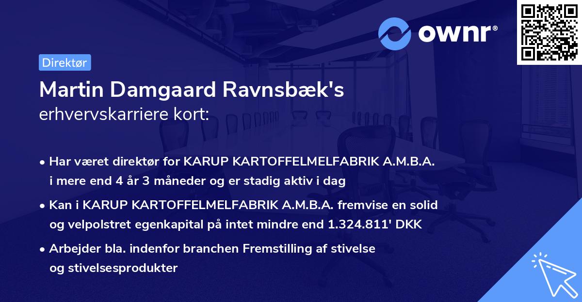 Martin Damgaard Ravnsbæk's erhvervskarriere kort