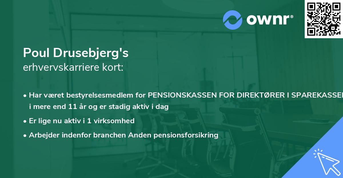 Poul Drusebjerg's erhvervskarriere kort
