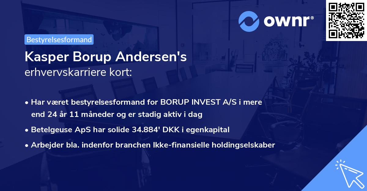 Kasper Borup Andersen's erhvervskarriere kort