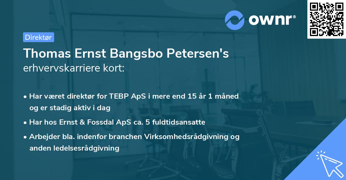 Thomas Ernst Bangsbo Petersen's erhvervskarriere kort