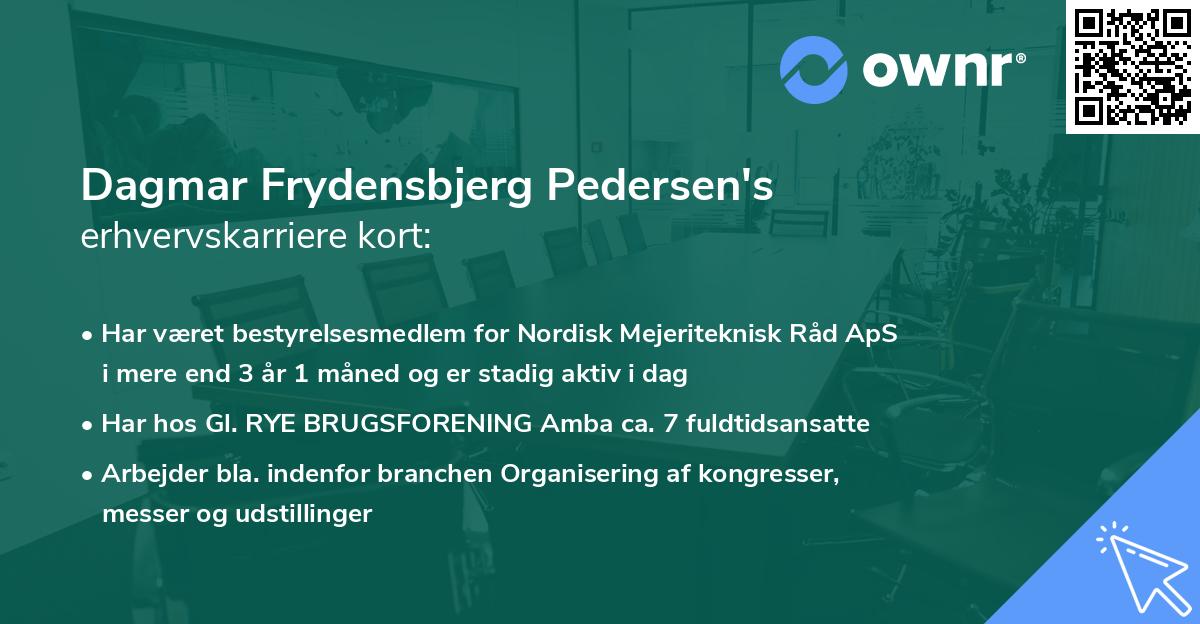 Dagmar Frydensbjerg Pedersen's erhvervskarriere kort