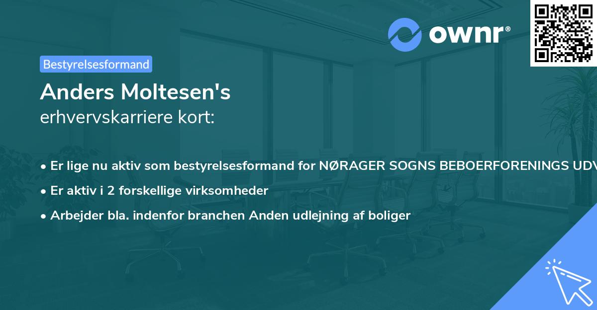 Anders Moltesen's erhvervskarriere kort