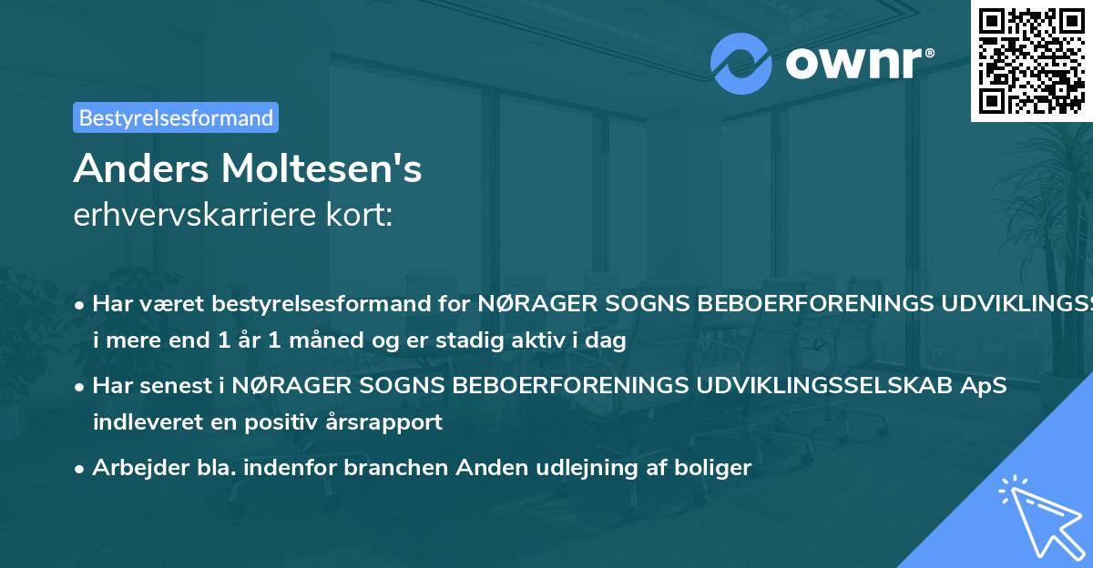 Anders Moltesen's erhvervskarriere kort