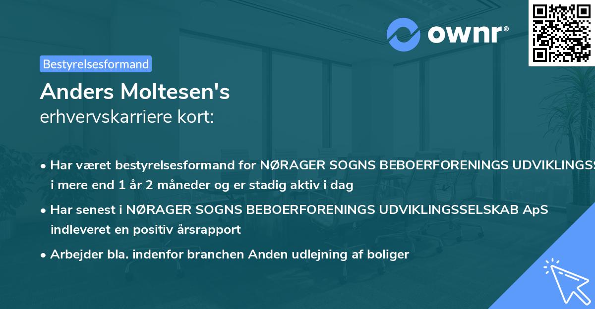 Anders Moltesen's erhvervskarriere kort