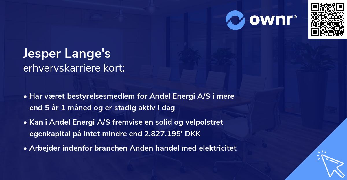 Jesper Lange's erhvervskarriere kort