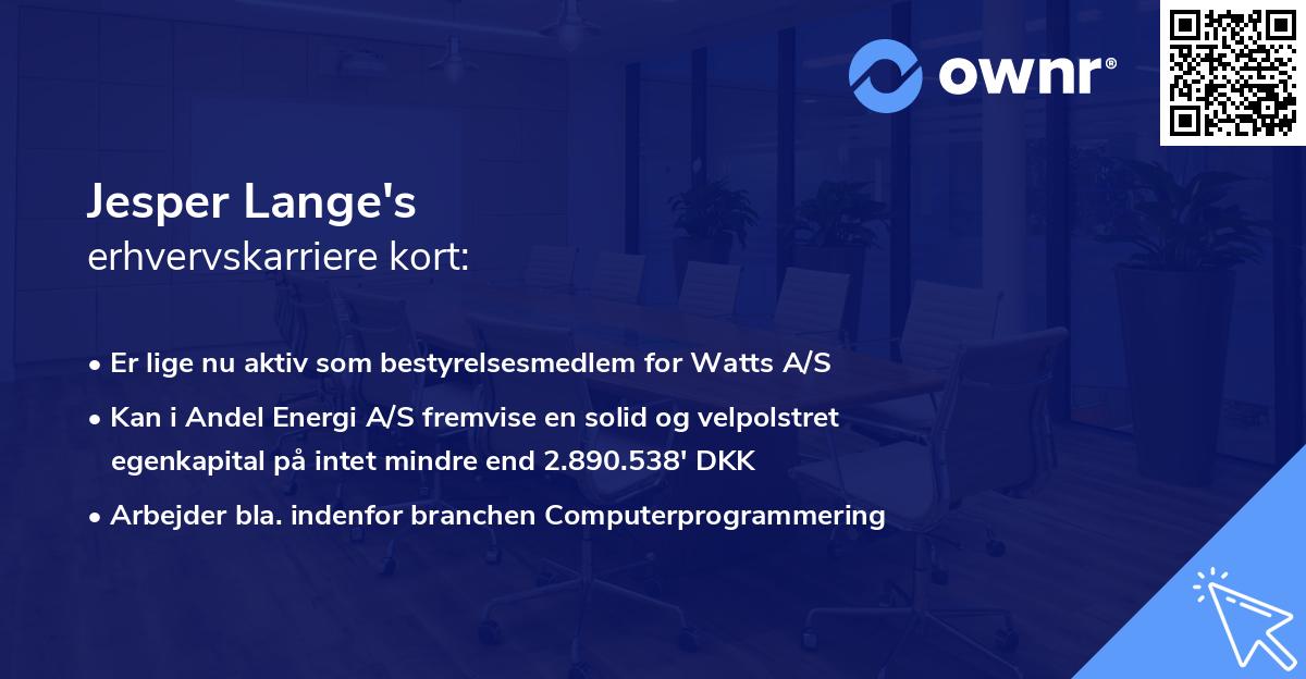Jesper Lange's erhvervskarriere kort