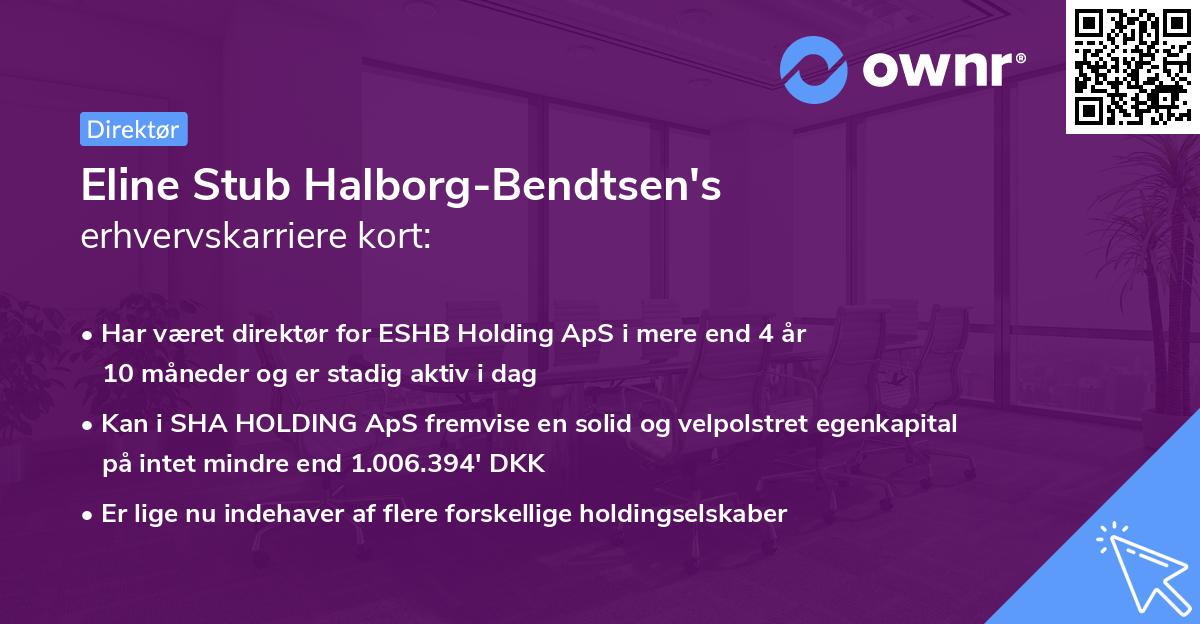 Eline Stub Halborg-Bendtsen's erhvervskarriere kort