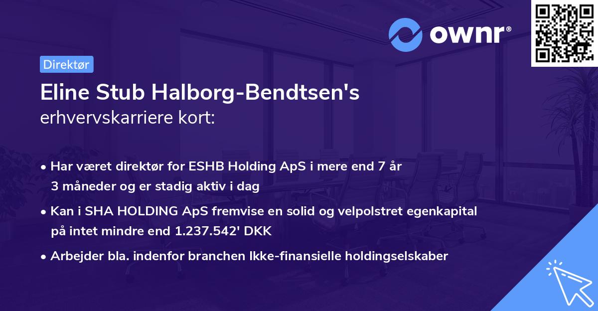 Eline Stub Halborg-Bendtsen's erhvervskarriere kort