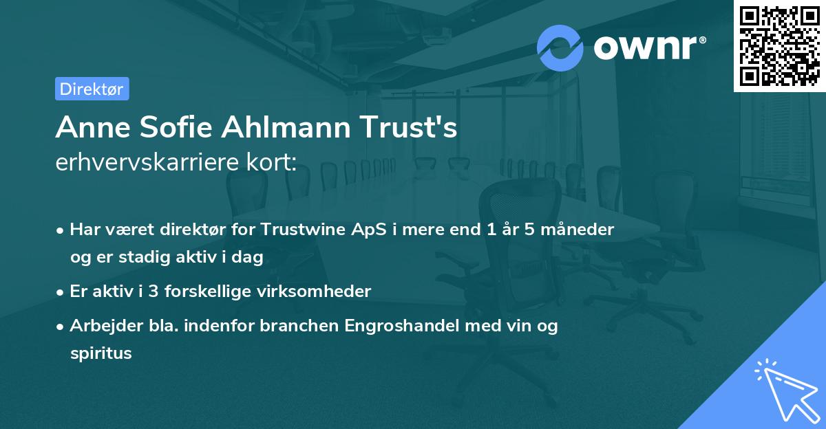 Anne Sofie Ahlmann Trust's erhvervskarriere kort