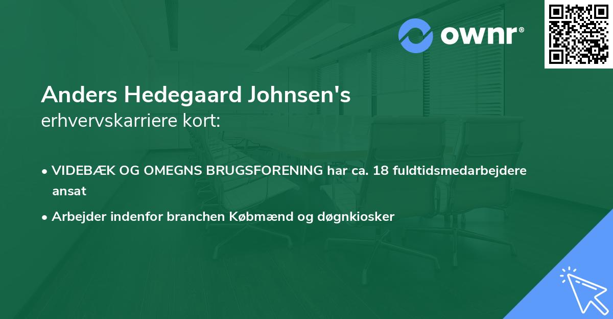 Anders Hedegaard Johnsen's erhvervskarriere kort