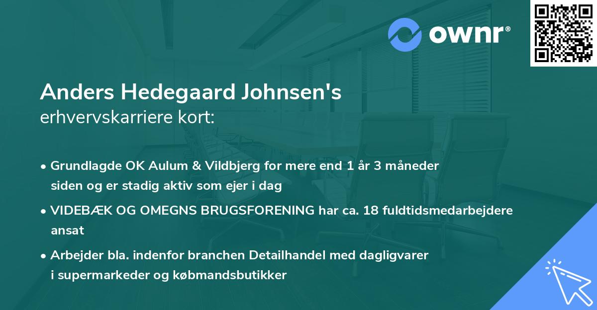 Anders Hedegaard Johnsen's erhvervskarriere kort