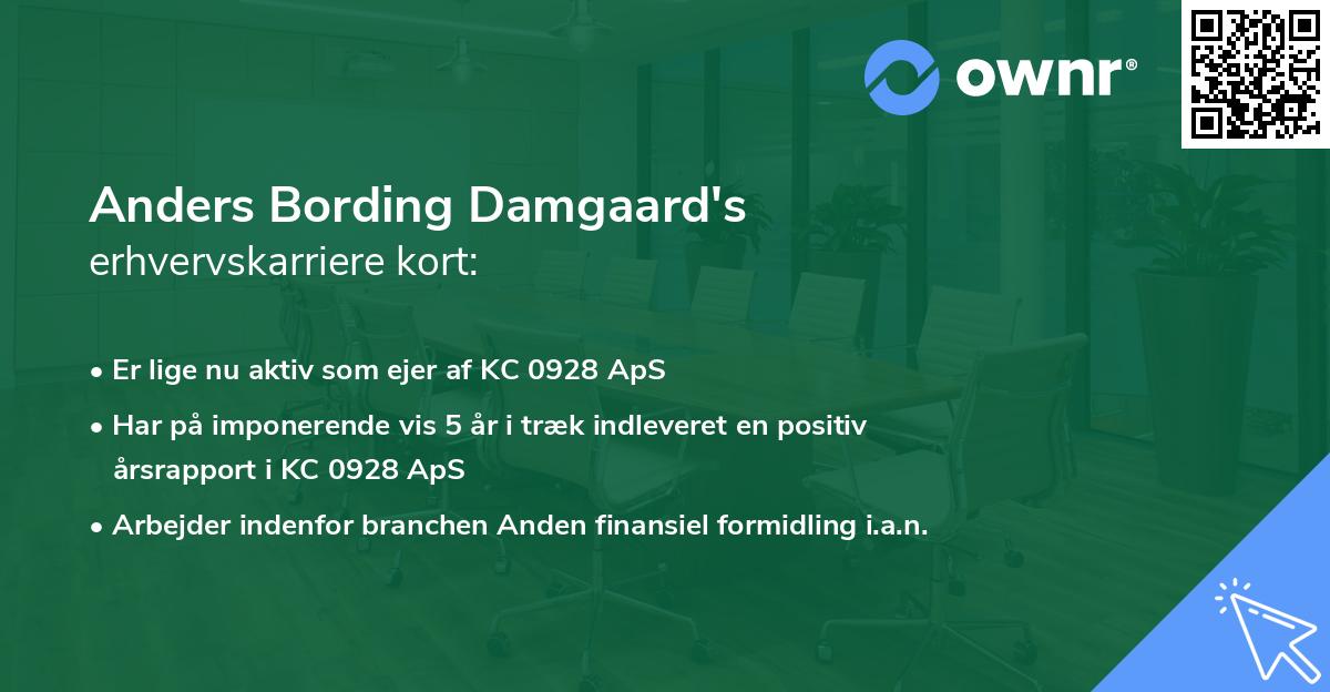 Anders Bording Damgaard's erhvervskarriere kort