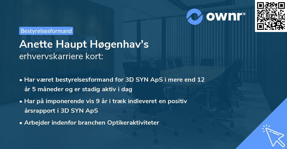 Anette Haupt Høgenhav's erhvervskarriere kort