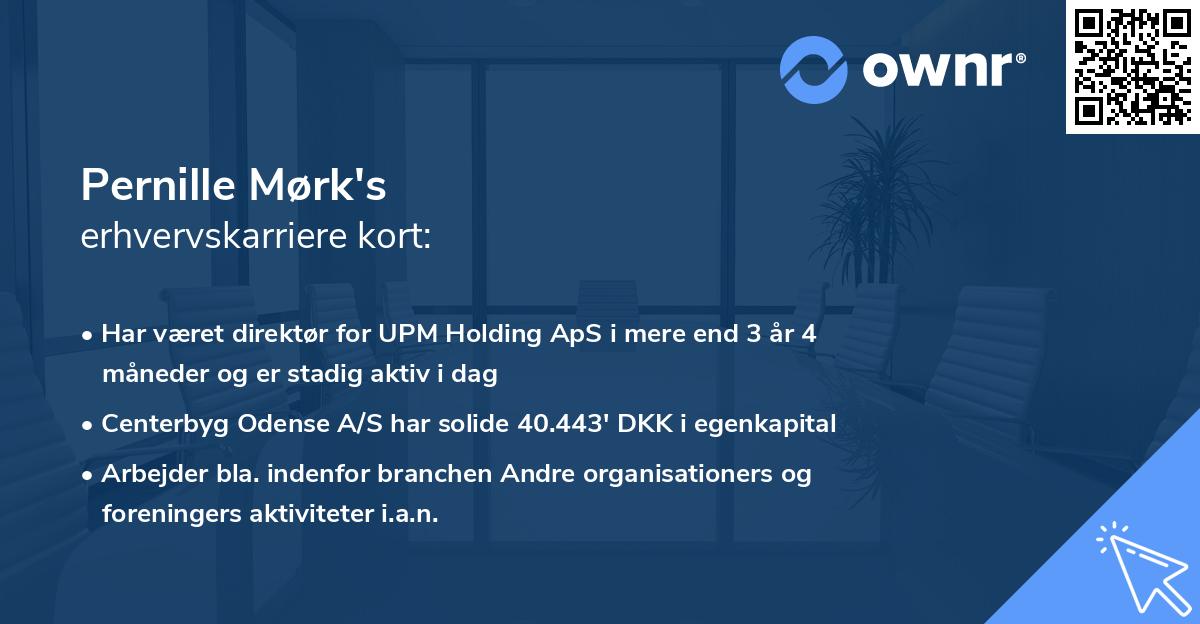 Pernille Mørk's erhvervskarriere kort