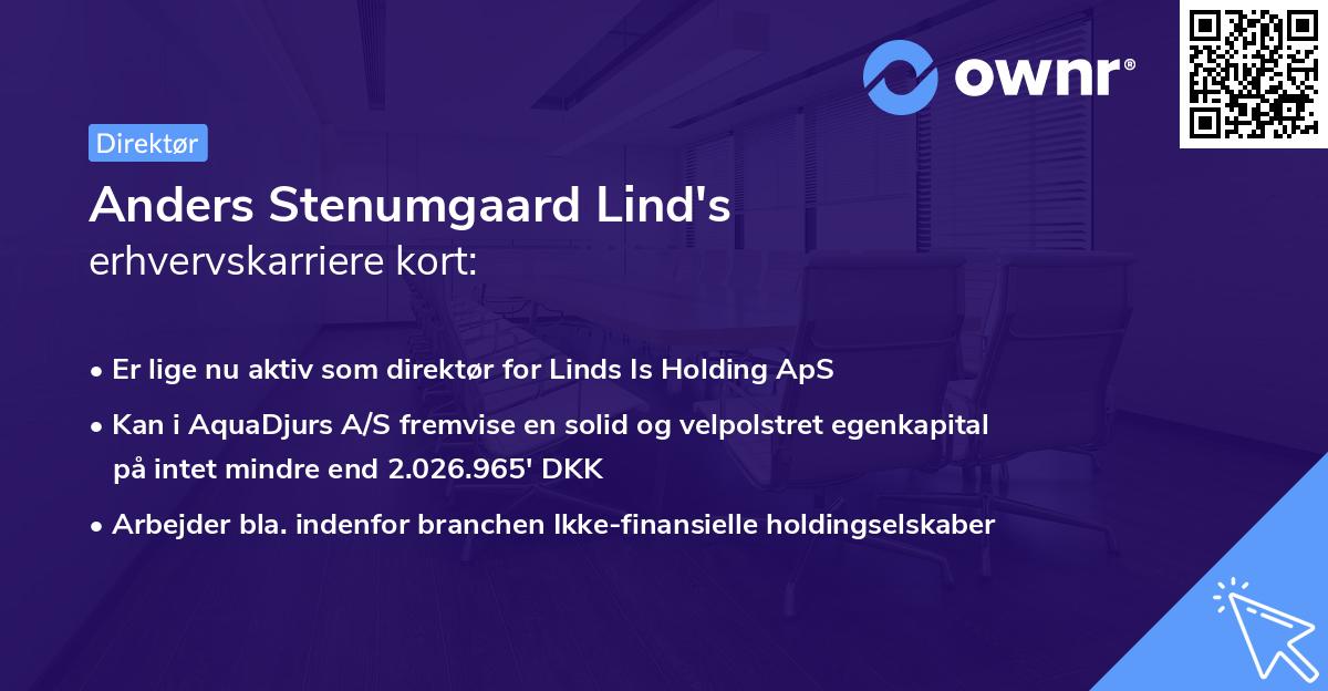 Anders Stenumgaard Lind's erhvervskarriere kort