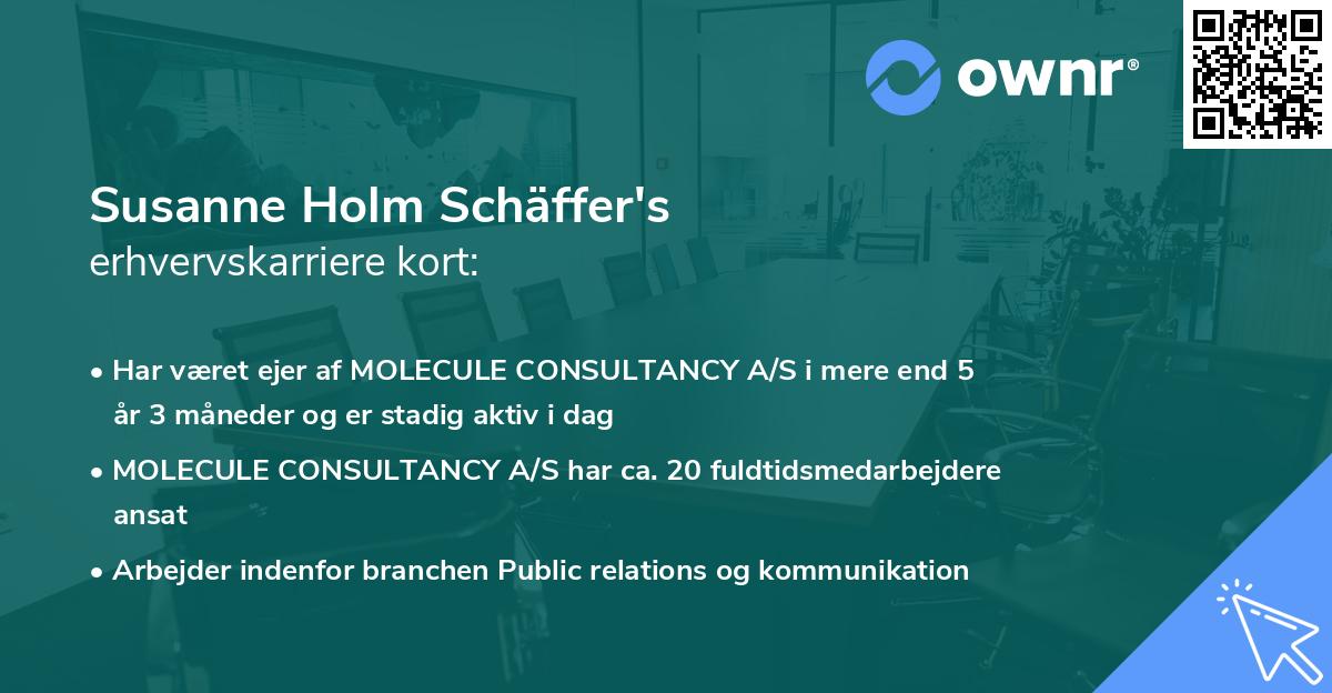 Susanne Holm Schäffer's erhvervskarriere kort