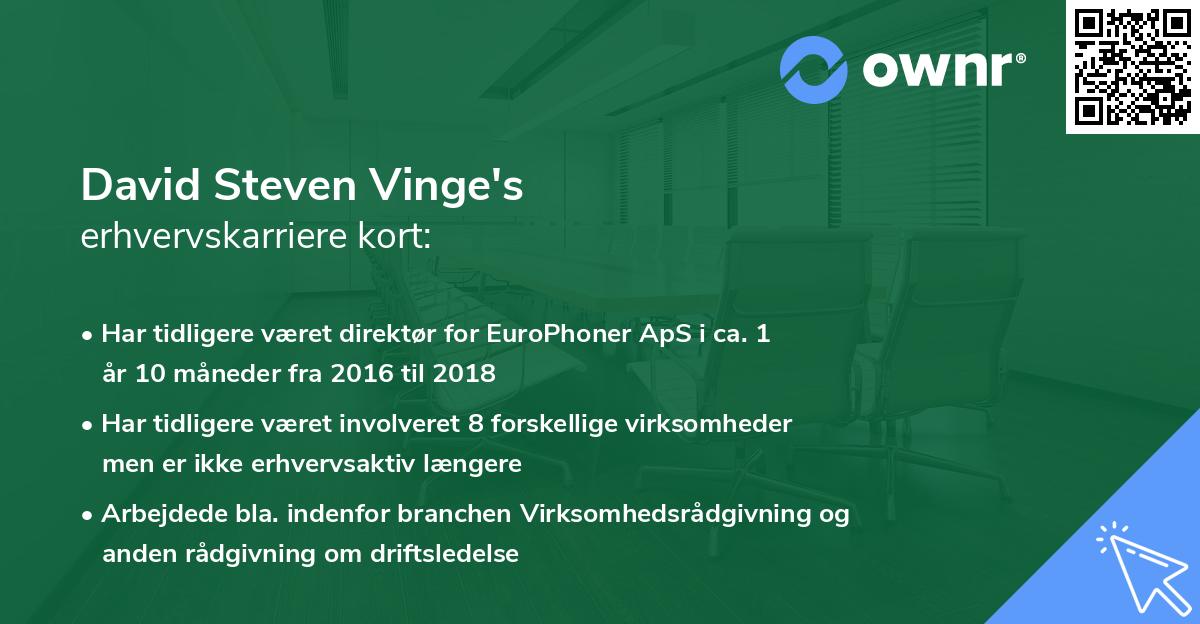 David Steven Vinge's erhvervskarriere kort