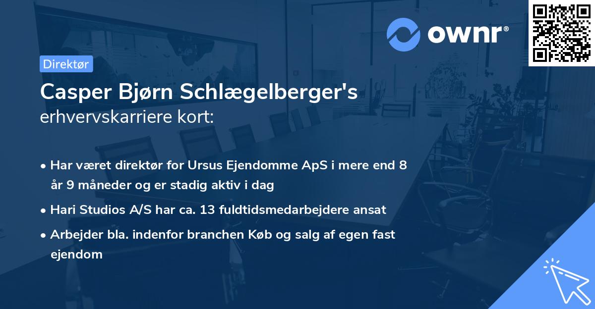 Casper Bjørn Schlægelberger's erhvervskarriere kort