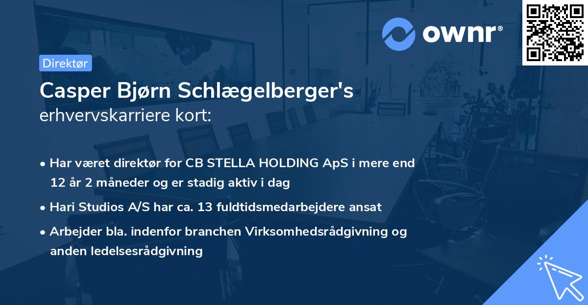 Casper Bjørn Schlægelberger's erhvervskarriere kort